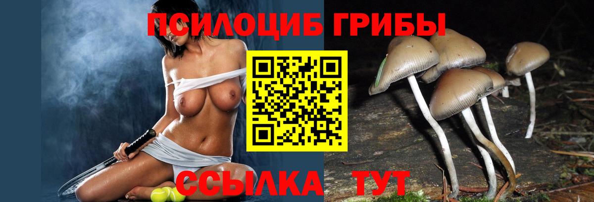 Минусинск  Псилоцибиновые грибы мицелий  Псилоцибиновые грибы GOLDEN TEACHER  Вход с VPN 