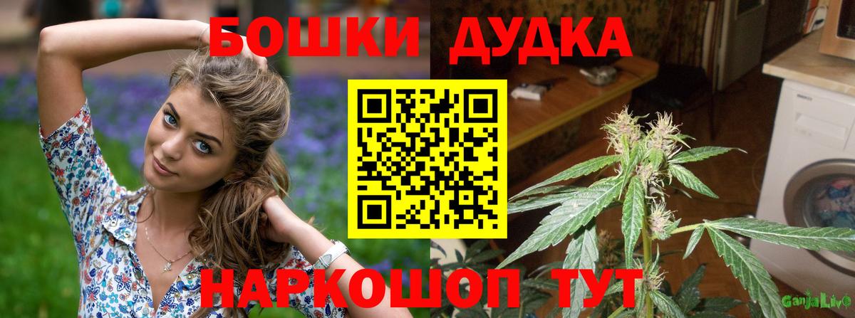 Бошки Шишки семена Минусинск